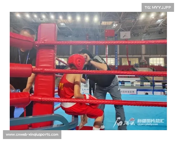 中国职业拳击生态逐步完善，系列赛事培养本土拳手